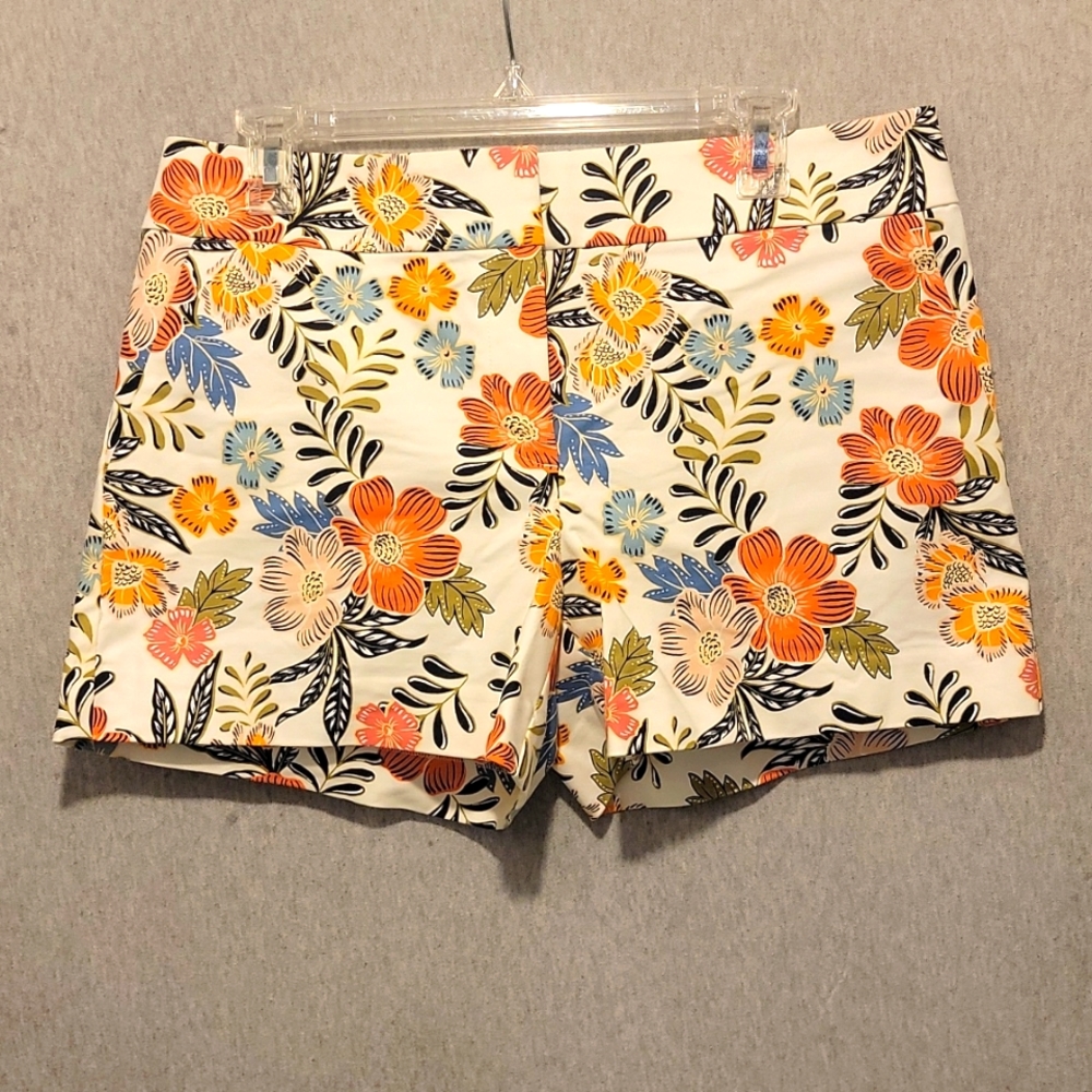 Loft shorts / 6 / NWOT
